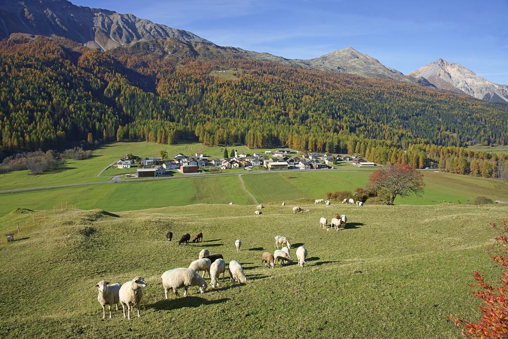 Hotel Landgasthof Staila Fuldera Esterno foto